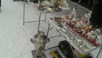 Птичьи права