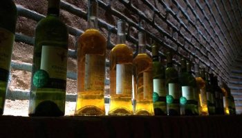 Кахетия: превращаем воду в&nbsp;вино