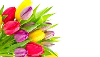 Заказ и доставка цветов на Flowers.ua